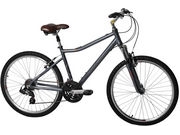 RALEIGH Voyager LX