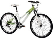 RALEIGH Freeride AT20 