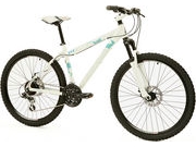 RALEIGH Freeride AT30 
