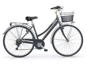 MBM Central Ladies 700C 46cm Titanium  click to zoom image