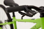 RIDGEBACK Dimension 24 Inch Green click to zoom image