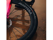 MAVIC Allroad SL Carbon C-Lock 12x100-142 M11 Pr click to zoom image